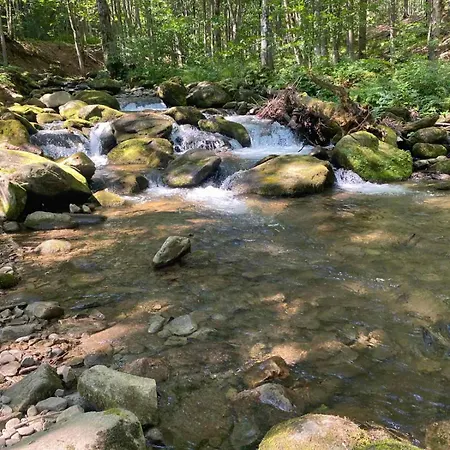 марія Polyana (Transcarpathia)